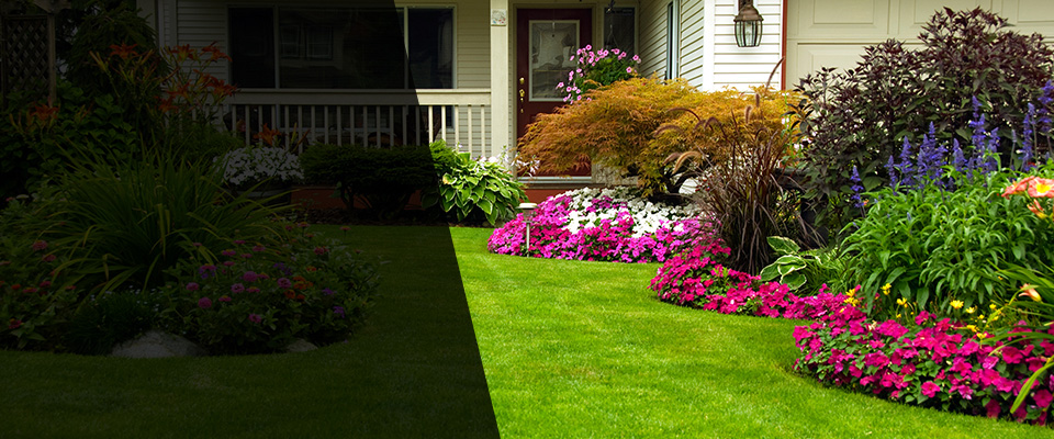 Georgia Landscapers