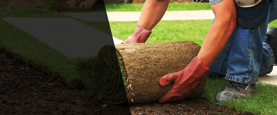 Georgia Landscapers